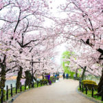 Tokyo in spring
