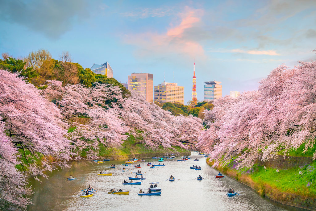 Virtual Access for Enjoying Japan | KCP Japanese Language School