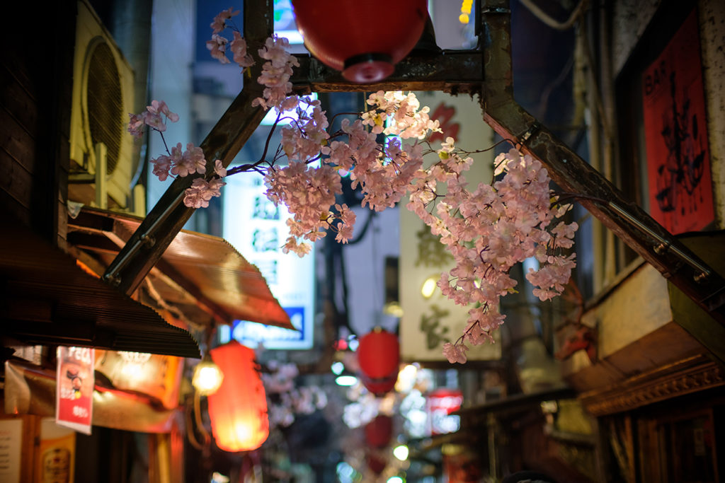 Izakaya alley