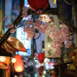 Izakaya alley