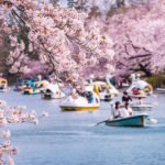 Inokashira Park