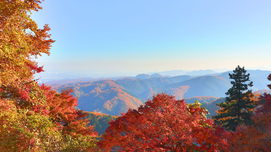 Mount Takao autumn view