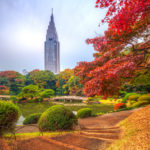 Autumn in Shinjuku Gyoen