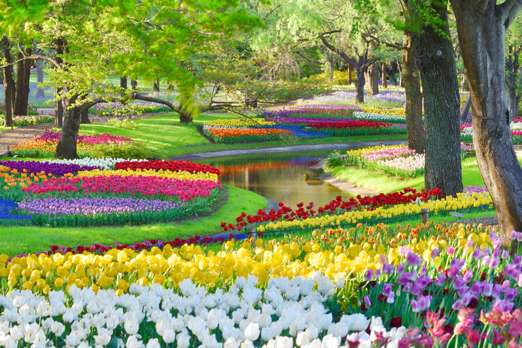 Showa Memorial Park Flower Map