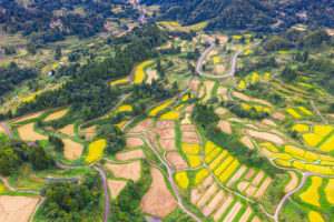 Hoshitoge Rice Terraces