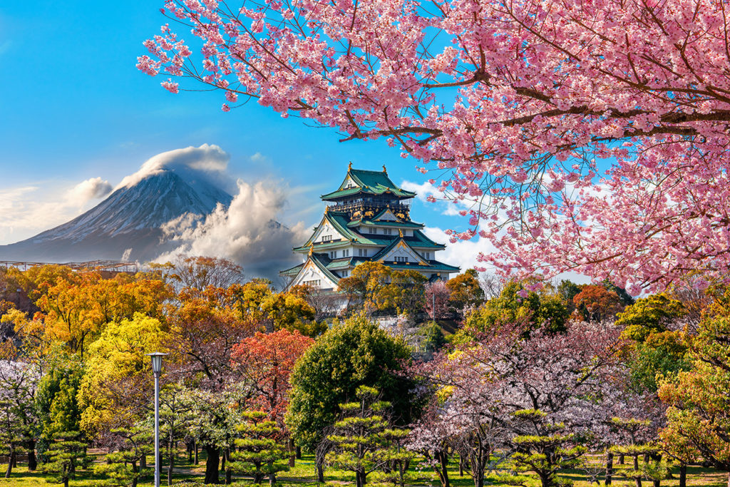 Osaka Castle and full cherry blossom