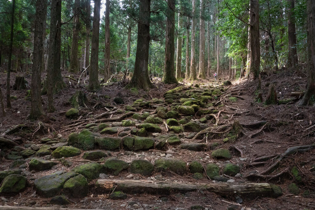 Kumano Kodo trail 2