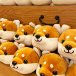 Shiba inu stuffed toys