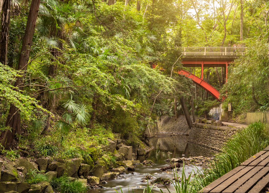 Red metal bridge of Todoroki park in the Setagaya district of Tokyo.