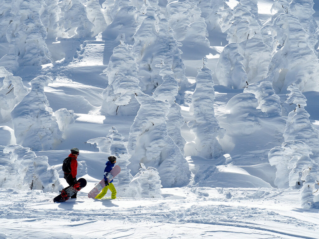 Mt. Zao snow monsters